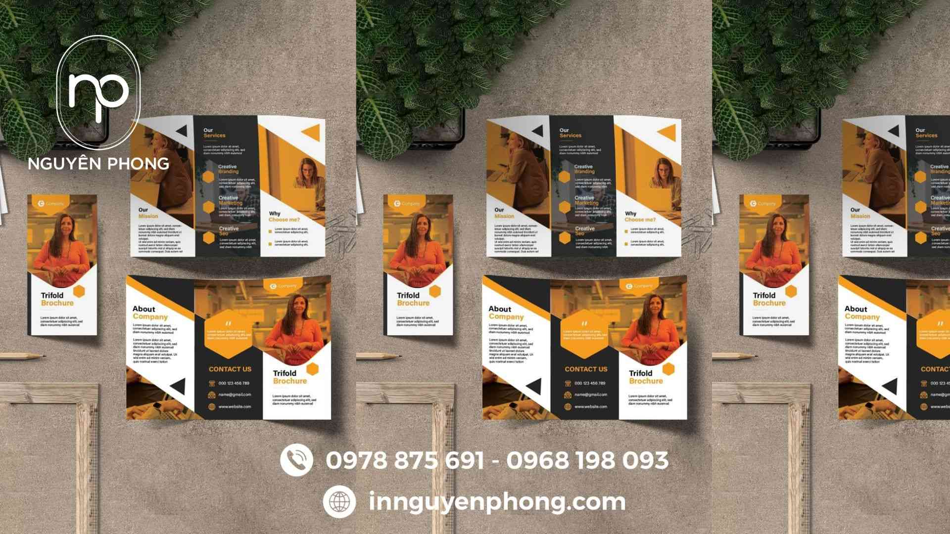 Khám Phá Thế Giới Thời Trang Qua Brochure Đẳng Cấp